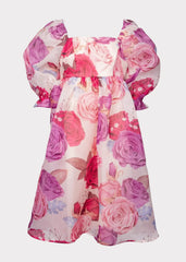 Polly Dress Pink