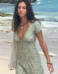 Eviaso Midi Dress in Ditsy Mix Floral Green